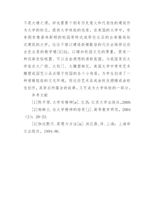 大学体验实践大学精神的新视角的论文.docx