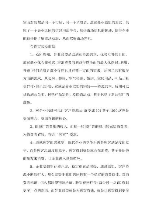 商业项目策划方案精选