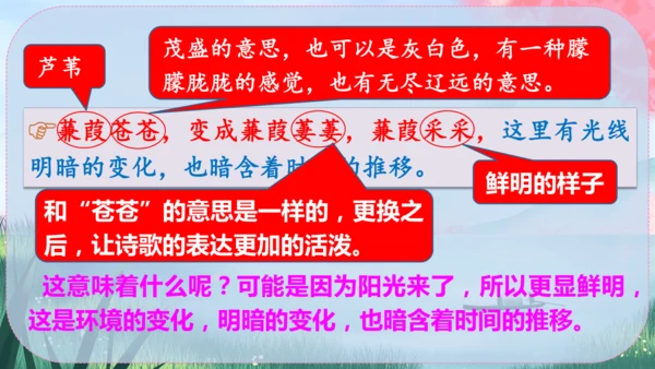 12《诗经》二首 课件