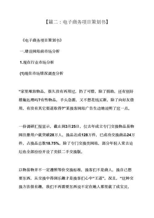 电子商务综合项目专业策划专项方案.docx