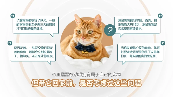 宠物领养猫咪通用PPT模板