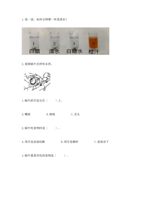 教科版一年级下册科学期末测试卷【考点梳理】.docx