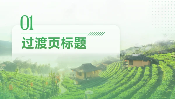 美丽乡村产业振兴村庄项目创业报告通用PPT模板