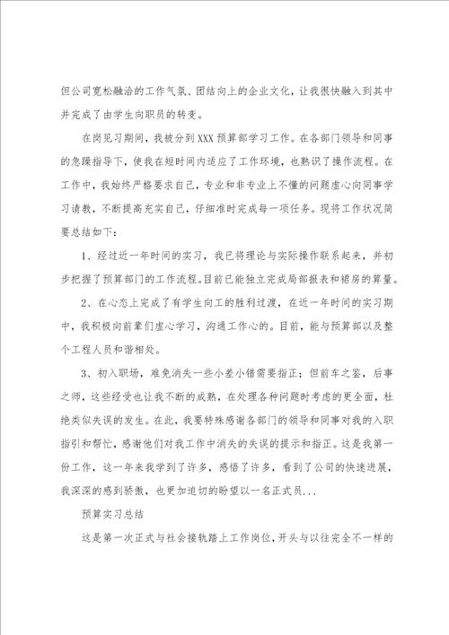 做预算的个人短期实习工作总结