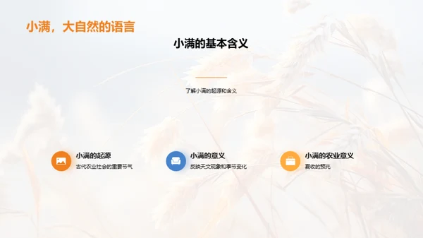 小满节气全解析