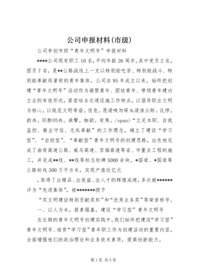 公司申报材料(市级) (3).docx