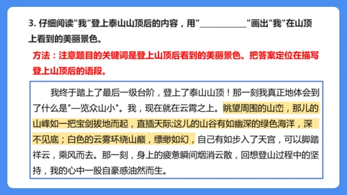 四上期末复习 课外阅读2024-2025学年
