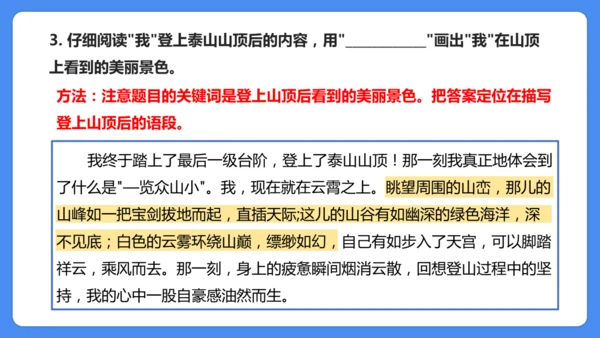 四上期末复习 课外阅读2024-2025学年