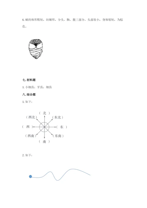 教科版小学科学三年级下册 期末测试卷【预热题】.docx