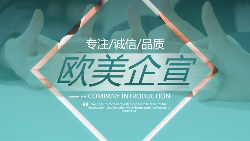 欧美风商业提案公司介绍企业宣传PPT模板