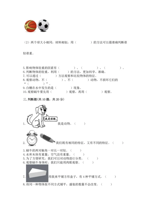 教科版一年级下册科学期末测试卷附参考答案（轻巧夺冠）.docx