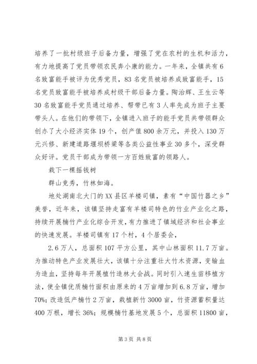 竹乡飞歌春来早——记羊楼司镇党委、政府 (3).docx