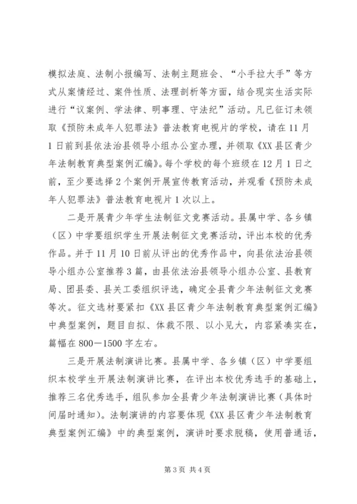 青少年法制宣传教育活动的实施方案 (4).docx