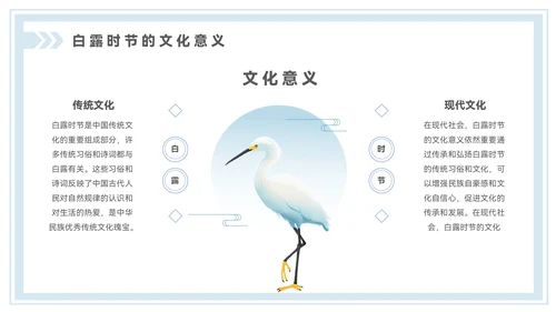 淡蓝色中国风白露节气PPT模板
