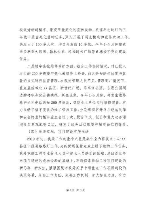 市城市照明管理处XX年上半年工作总结及下半年工作计划 (2).docx