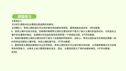 第三单元-第一章-第二节-植株的生长课件-2024-2025学年七年级生物下学期人教版(2024)(