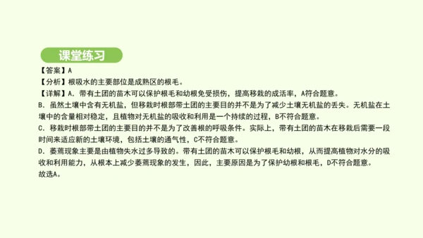 第三单元-第一章-第二节-植株的生长课件-2024-2025学年七年级生物下学期人教版(2024)(
