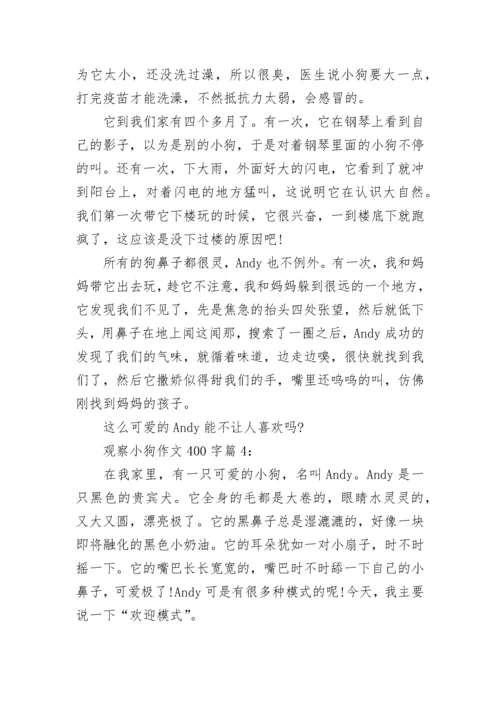 观察小狗作文400字5篇.docx