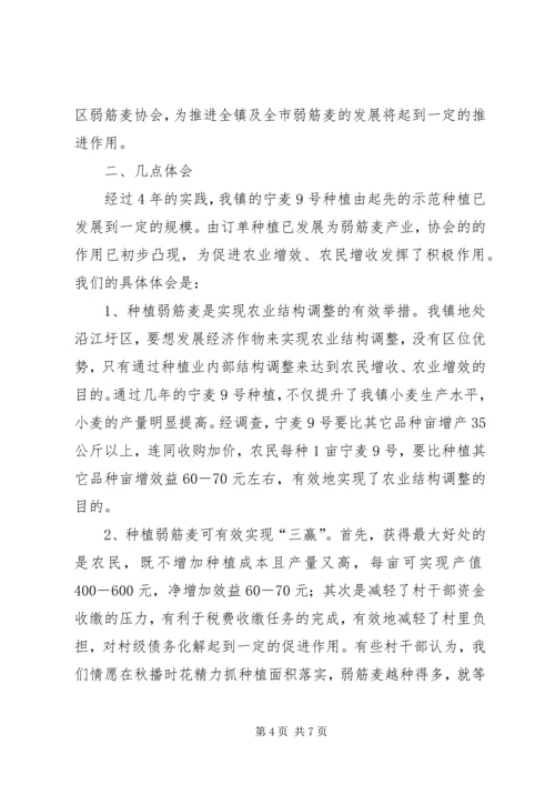 增收增效发展弱筋麦产业促进农业增收增效.docx