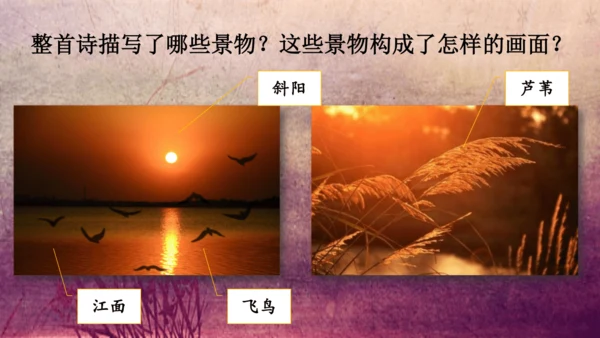 3.《现代诗二首》课件