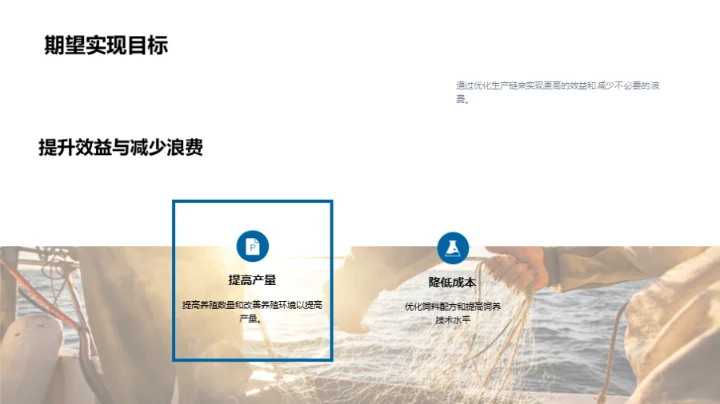 牧场运营与效益提升