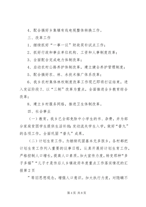 乡镇政府年度重点工作落实情况的汇报.docx