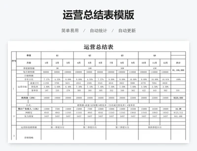运营总结表模版