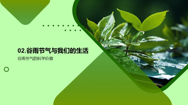 谷雨节气，探索与学习