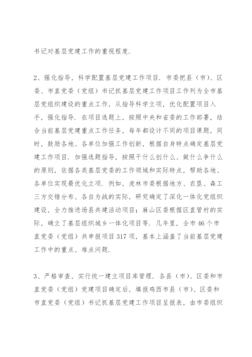 党支部书记抓党建项目立项书.docx
