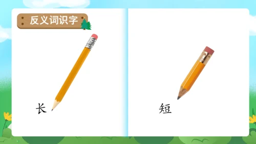 课文6《比尾巴》（教学课件）