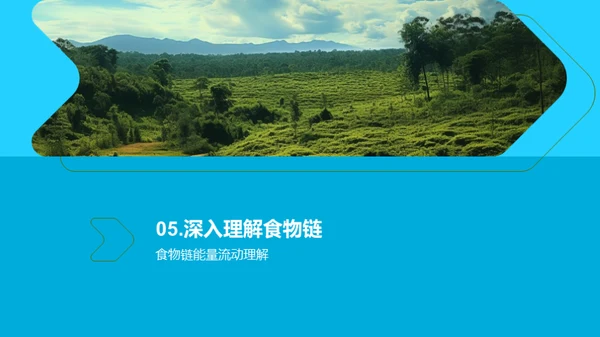 深度解析食物链