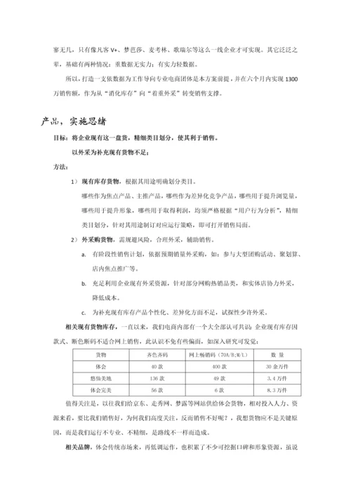 传统企业之电子商务运营专项方案.docx