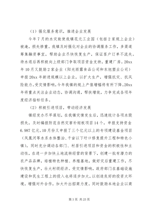 乡镇经发办工作总结及工作计划.docx