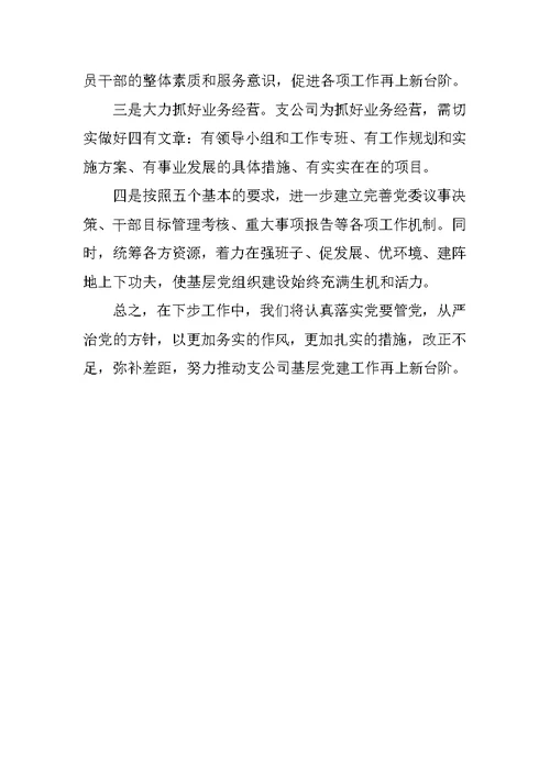 开展基层党组织建设工作自查报告