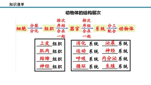 人教版生物七年级上册第一单元《生物与细胞》单元复习课件(共53张PPT)