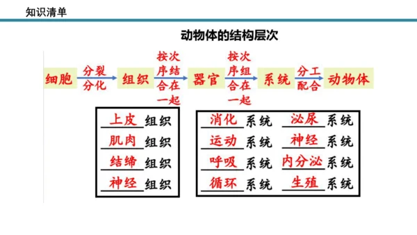人教版生物七年级上册第一单元《生物与细胞》单元复习课件(共53张PPT)