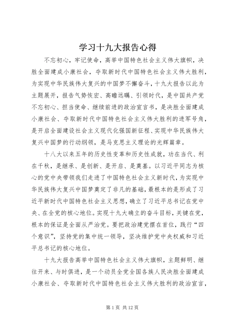 学习十九大报告心得 (15).docx
