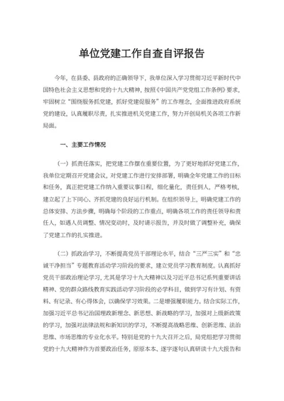 单位年度党建工作自查自评报告word模板
