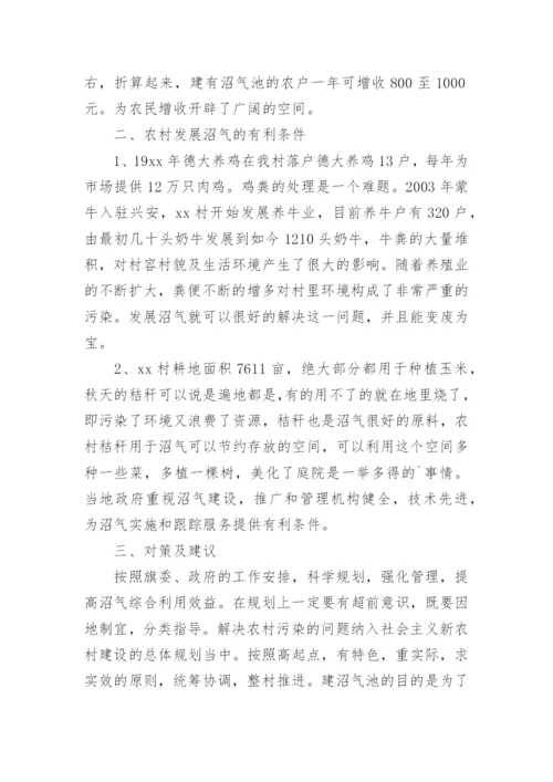 村发展沼气调研报告.docx
