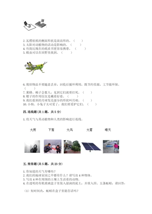 教科版二年级上册科学期末测试卷含完整答案【历年真题】.docx