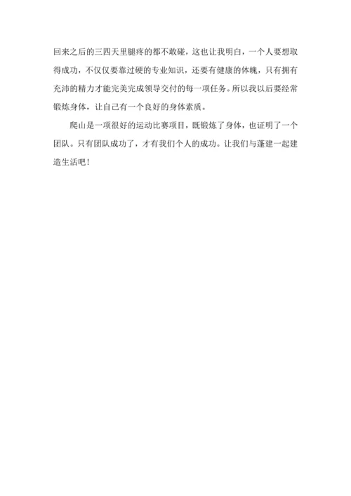 爬山课外实践心得模板.docx