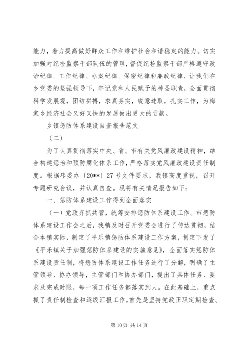 乡镇惩防体系建设自查报告.docx