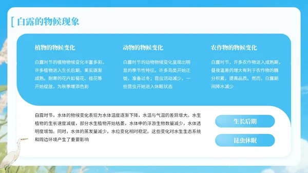 蓝绿色中国风白露节气知识宣传PPT