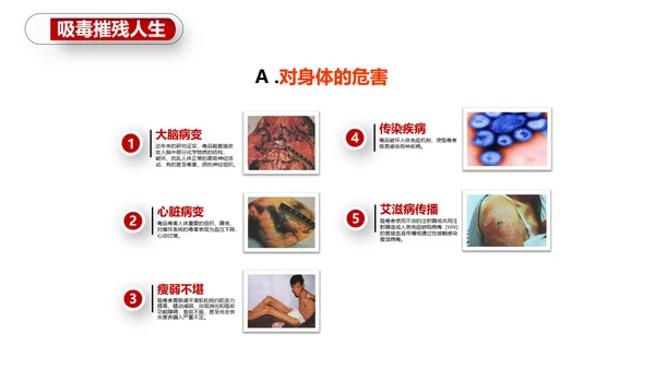 珍爱生命世界禁毒日PPT
