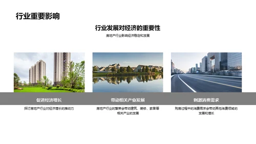 房地产市场深度解析