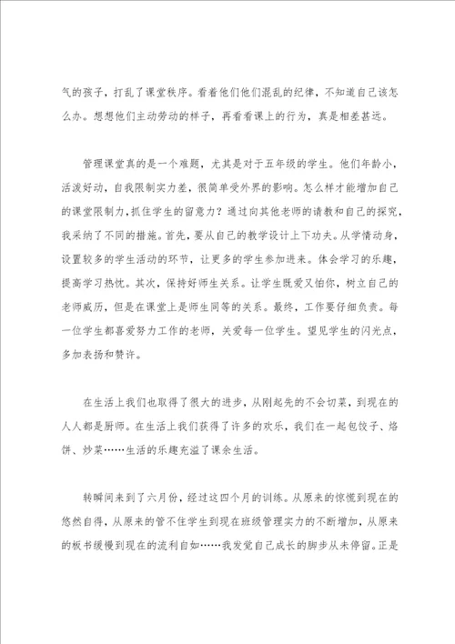 顶岗实习支教报告总结