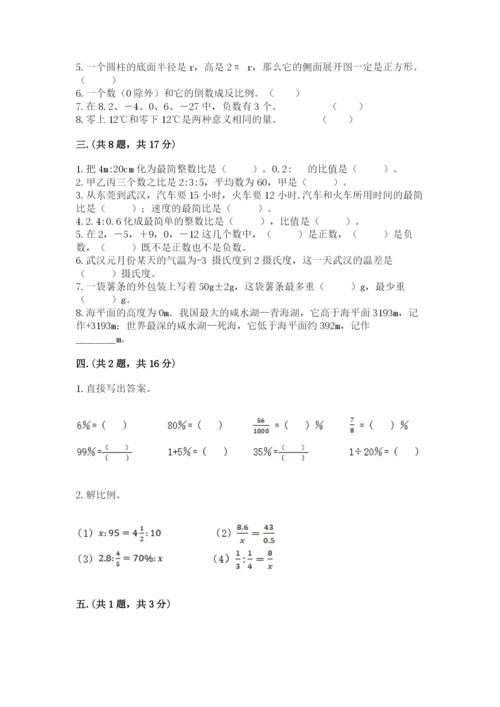 河南省平顶山市六年级下册数学期末考试试卷带答案（突破训练）.docx