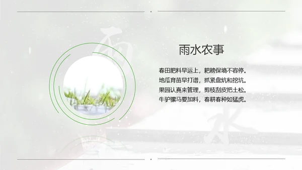 春天雨水绿叶晨露二十四节气通用PPT课件