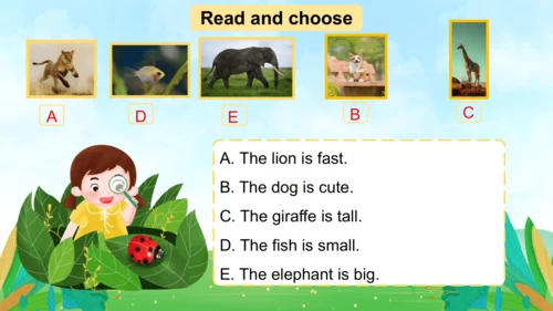 Unit 3 Amazing animals 单元复习课件(共33张PPT)