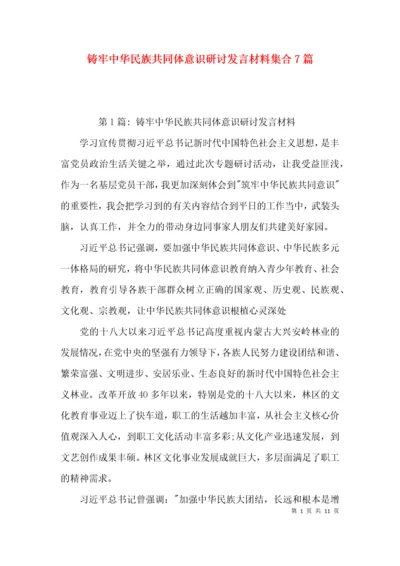 （精选）铸牢中华民族共同体意识研讨发言材料集合7篇.docx